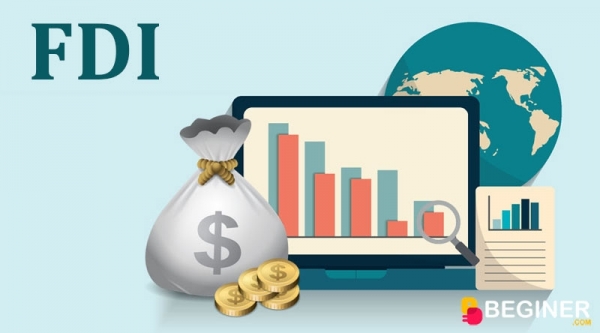 TỔNG HỢP VÀ PHÂN TÍCH CÁC YẾU TỐ TRONG ĐẦU TƯ FDI TẠI VIỆT NAM
